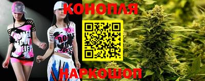 амф Гусев