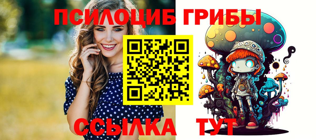Псилоцибиновые грибы MAGIC MUSHROOMS  Вход с VPN  наркота  Михайловск  Псилоцибиновые грибы Magic Shrooms 