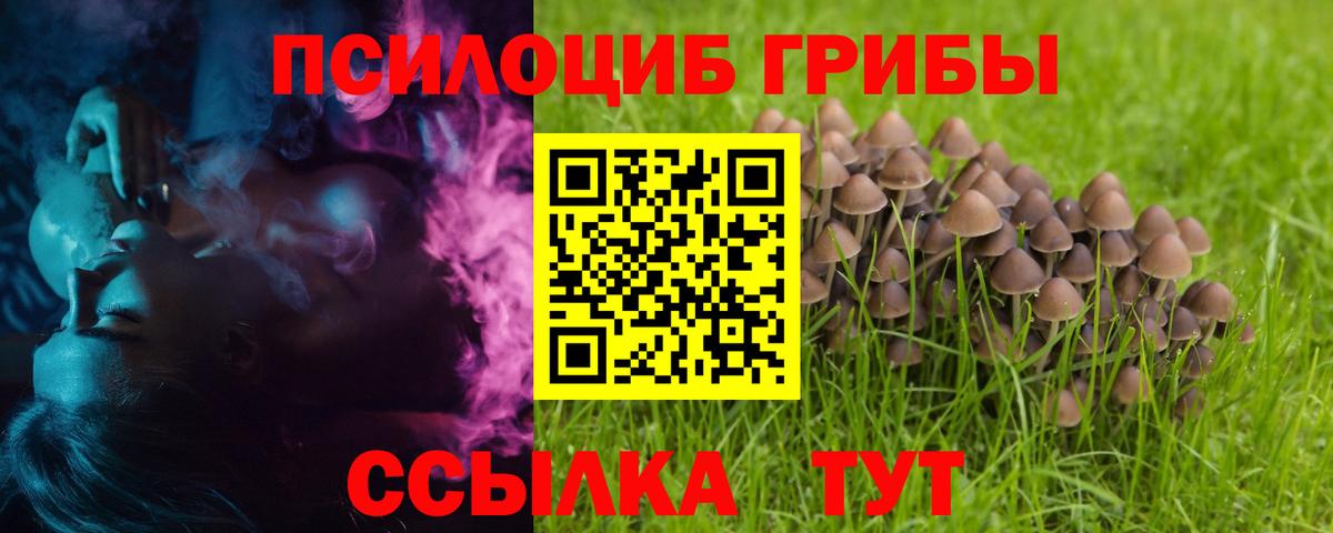 Галлюциногенные грибы Magic Shrooms Михайловск